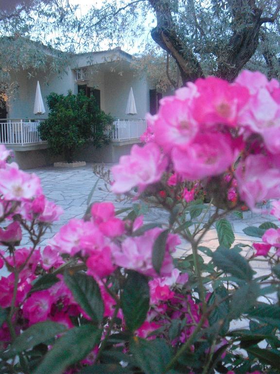 Guesthouse Irene Áfissos Luaran gambar