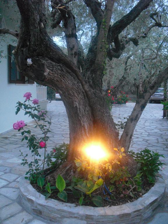 Guesthouse Irene Áfissos Luaran gambar