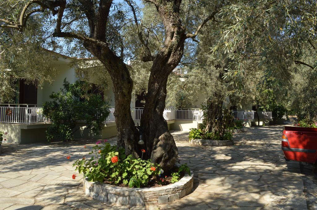 Guesthouse Irene Áfissos Luaran gambar